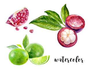 Watercolor Fruits Illustration Pomegranate, Mangosteen, Lime and Leaves with Artistic Flair