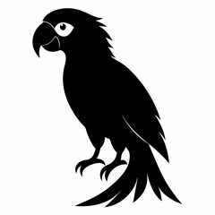 Obraz premium Macaw Black silhouette
