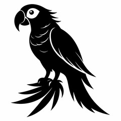 Macaw Black silhouette