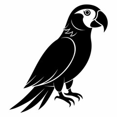 Fototapeta premium Macaw Black silhouette