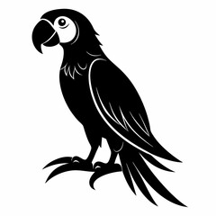 Fototapeta premium Macaw Black silhouette
