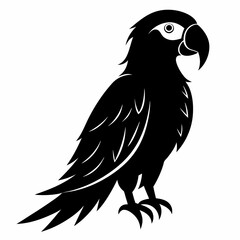 Macaw Black silhouette