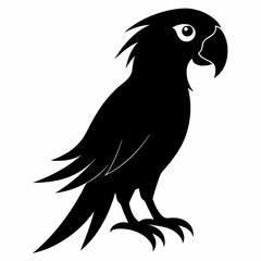Fototapeta premium Macaw Black silhouette