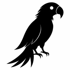 Fototapeta premium Macaw Black silhouette