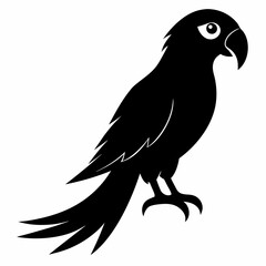Macaw Black silhouette