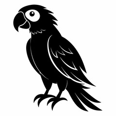 Obraz premium Macaw Black silhouette