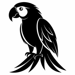 Macaw Black silhouette