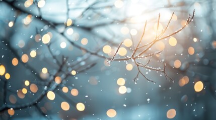 A tree branch covered in snow with a bright light shining on it