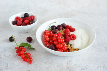 a bowl of yogurt with berries on the marble background 