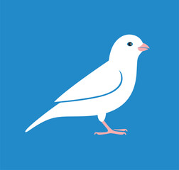 Canary logo. Isolated canary on white background