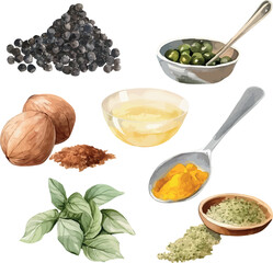 Vector Watercolor food, clipart, ingredients. Spices, pile of black pepper, oregano, cardamom, turmeric, nutmeg. Illustrations for creative cooking, invitation, greeting cards, birthday, event, holida
