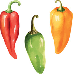 Vector Watercolor vegetables, clipart, 

pepper, red pepper, green pepper, orange pepper. Illustrations for creative cooking, invitation, greeting cards, birthday, event, holiday, menu; cooking class;