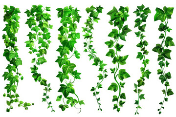 Fototapeta premium A suspended jungle vine with flowing and twisting elements on a transparent background.