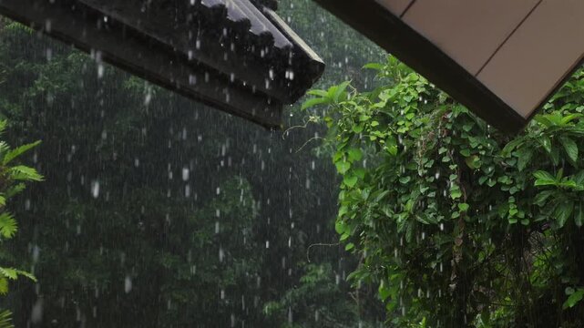 Heavy rain falling from roof edges, lush green foliage in background. Outdoor nature scene during rainy weather. Dark and moody atmosphere with downpour.