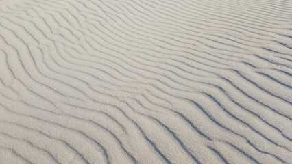 Rippled Sand Texture