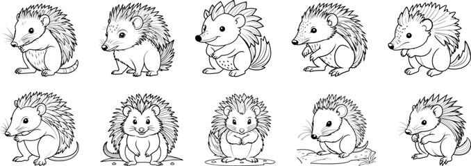 Tenrec coloring page and outline vector design