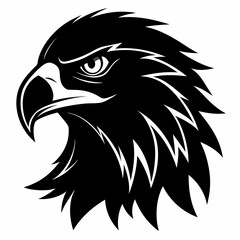 Fototapeta premium head of eagle