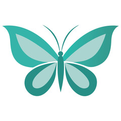 Minimalist Butterfly logo illustration on white background 