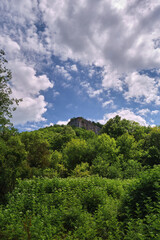 Fototapeta premium the biful landscape green mountain