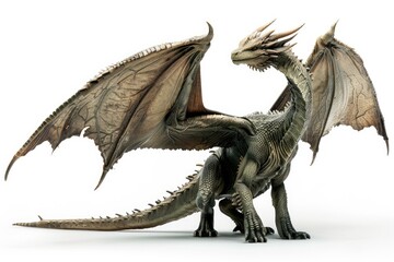 Naklejka premium White background with a dragon
