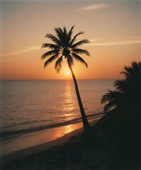 sunset on the beach