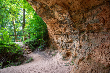 .a beautiful described cave in a macaw park in a sunny day