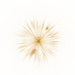 Shiny golden fireworks with textured on a white background. PNG transparent. Celebration, Holiday, Christmas, Wedding. Gold sparkles 
