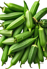 Fototapeta premium delicious Okra isolated on white background