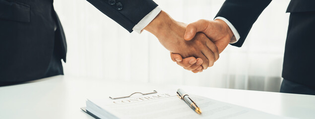 Two business executive shake hand in boardroom, sealing agreement merging two company. Handshake...