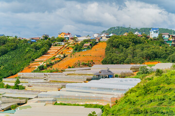 The city of Dalat.

A high-altitude city in Vietnam, founded by the French, in colonial times.