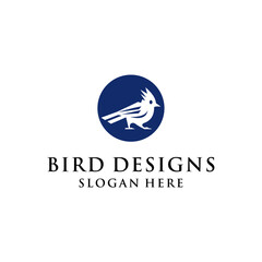 simple concept of ugly bird