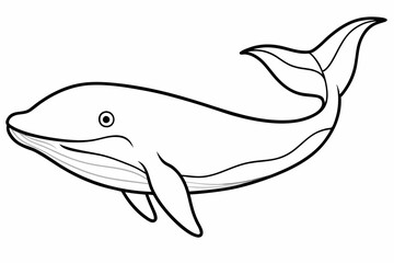 


Whale silhouette, whale animal icon. vector illustration


