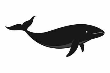 


Whale silhouette, whale animal icon. vector illustration


