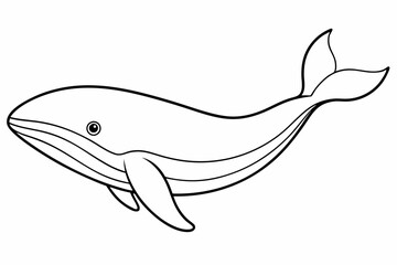    Whale silhouette, whale animal icon. vector illustration    © Trendy CraftSVG 