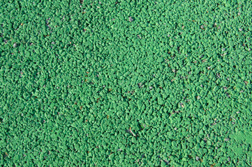 background with green painted  pavement in a parking . Abstract background and texture for design.