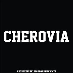 modern and elegant alphabet font vector set