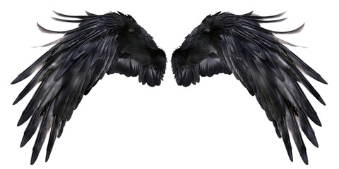 A pair of black feather wings on a transparent, isolated background. Cut out or PNG.