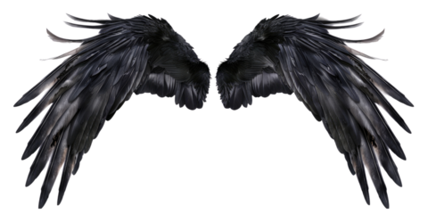 A pair of black feather wings on a transparent, isolated background. Cut out or PNG.
