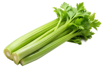 Celery green isolated