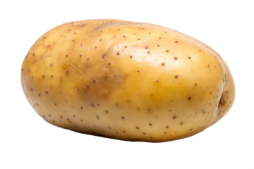 An isolated potato