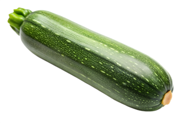 A single zucchini