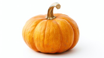 Fototapeta premium This is an image of a pumpkin. It has a smooth, orange surface with a few small blemishes. The stem is green andå¼¯æ›²çš„.