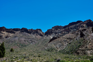 Landscape of vegetation and volcanic terrain in Teide National Park
