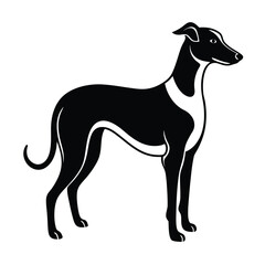 Standing Dog Silhouette Pet Animal Vector Illustration on White Background.