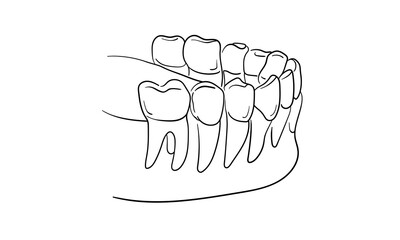 Teeth with roots continuous line art drawing isolated on white background. Dentistry, health, midicine. Vector illustration	