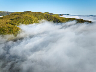 Aerial view of green hills in clouds at Fanal mountain, Madeira island, Portugal