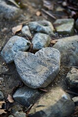 Heart-Shaped Stone on a Forest Trail Symbolizing Nature's Gifts and Serendipity