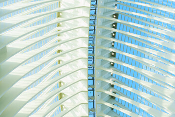 Symmetrical Roof Structure Showcasing Modern Design