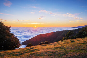 Sunrise above clouds and green hills at Fanal mountain, Madeira island, Portugal