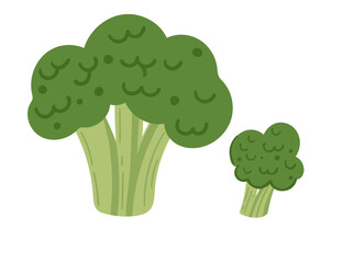 Fresh broccoli heads and florets, ideal for promoting healthy eating, culinary use in recipes, and garden produce features. Ripe tasty green vegetable. Flat vector illustration isolated on white